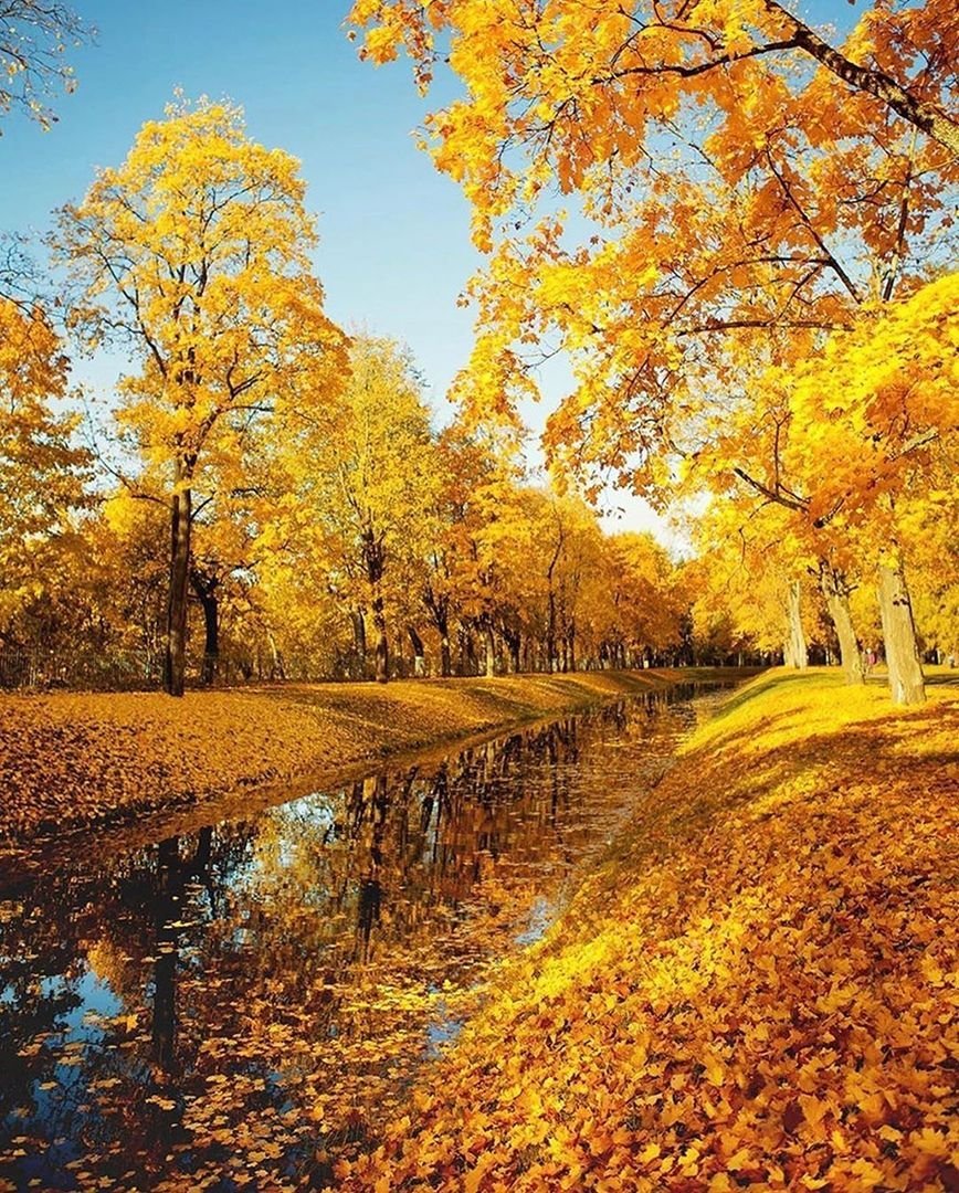 Доброе утро картинки пейзажи