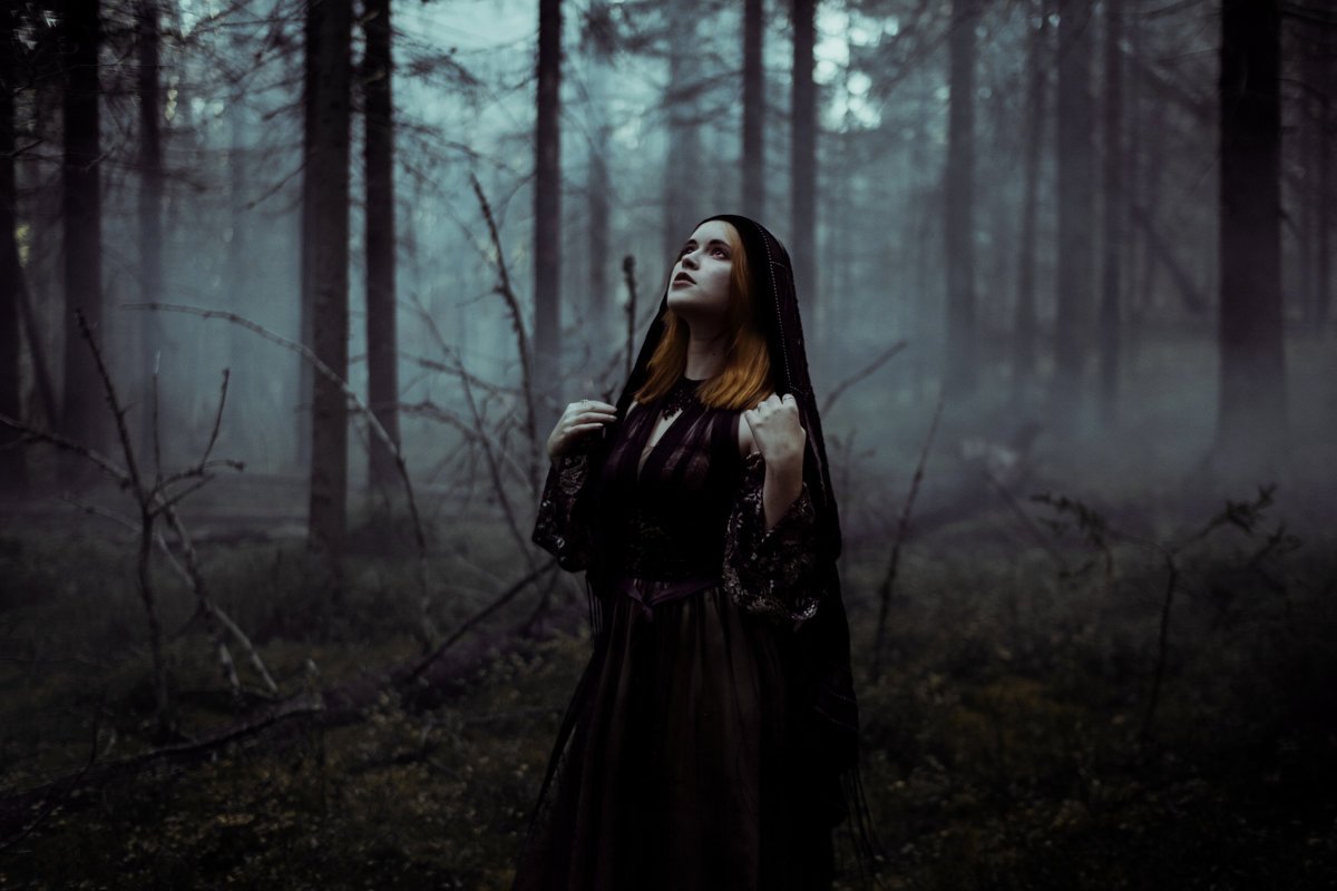 Ведьма в лесу