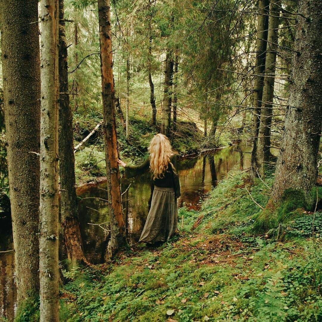 Ведьминский лес