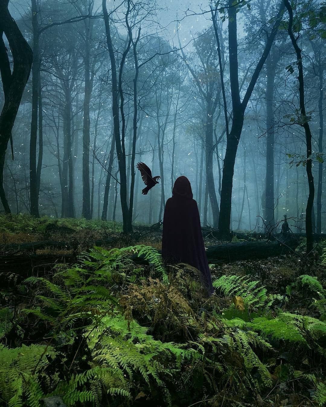 Темный силуэт в лесу