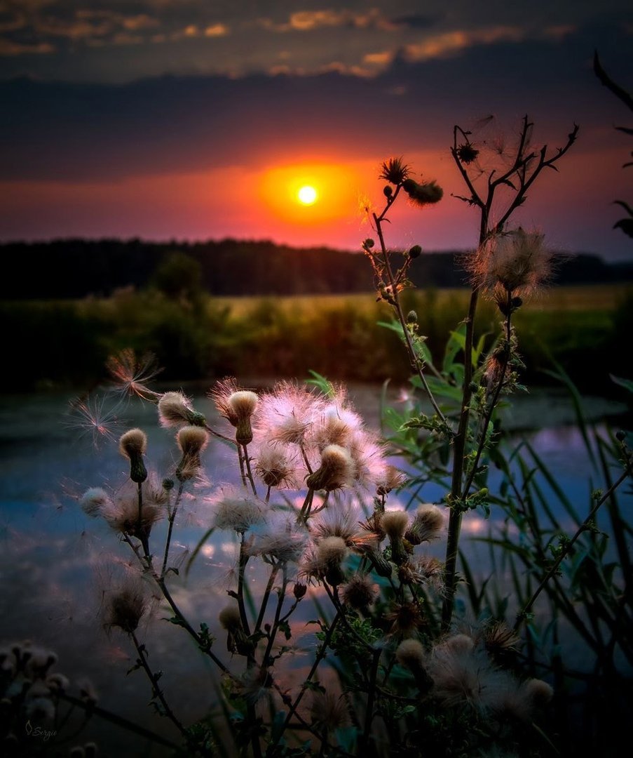 Спокойный пейзаж