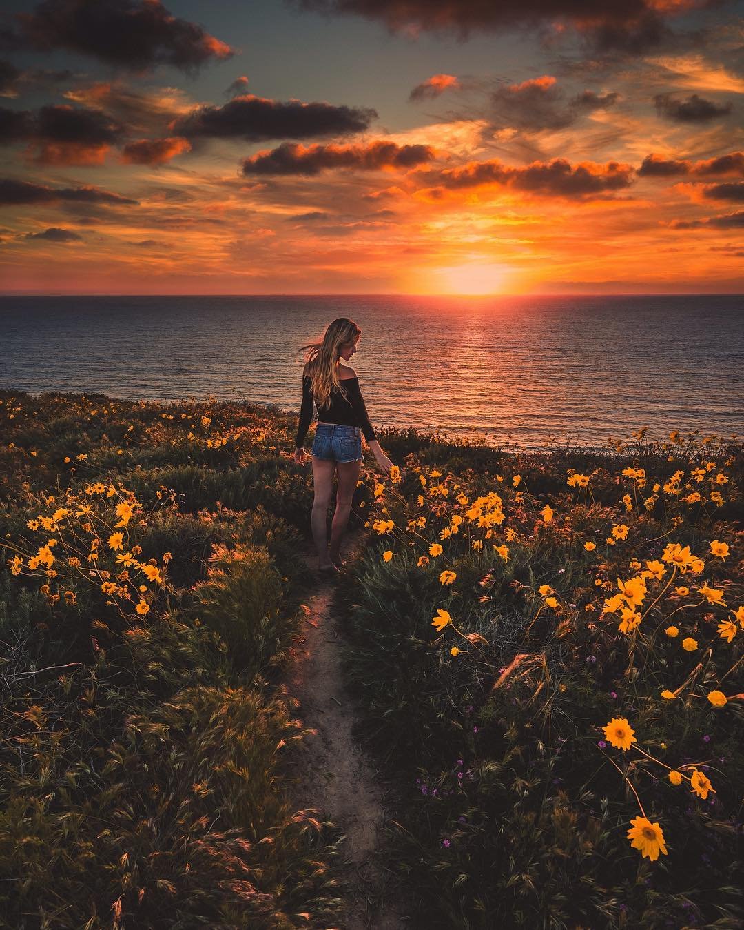 С добрым утром лето рассвет