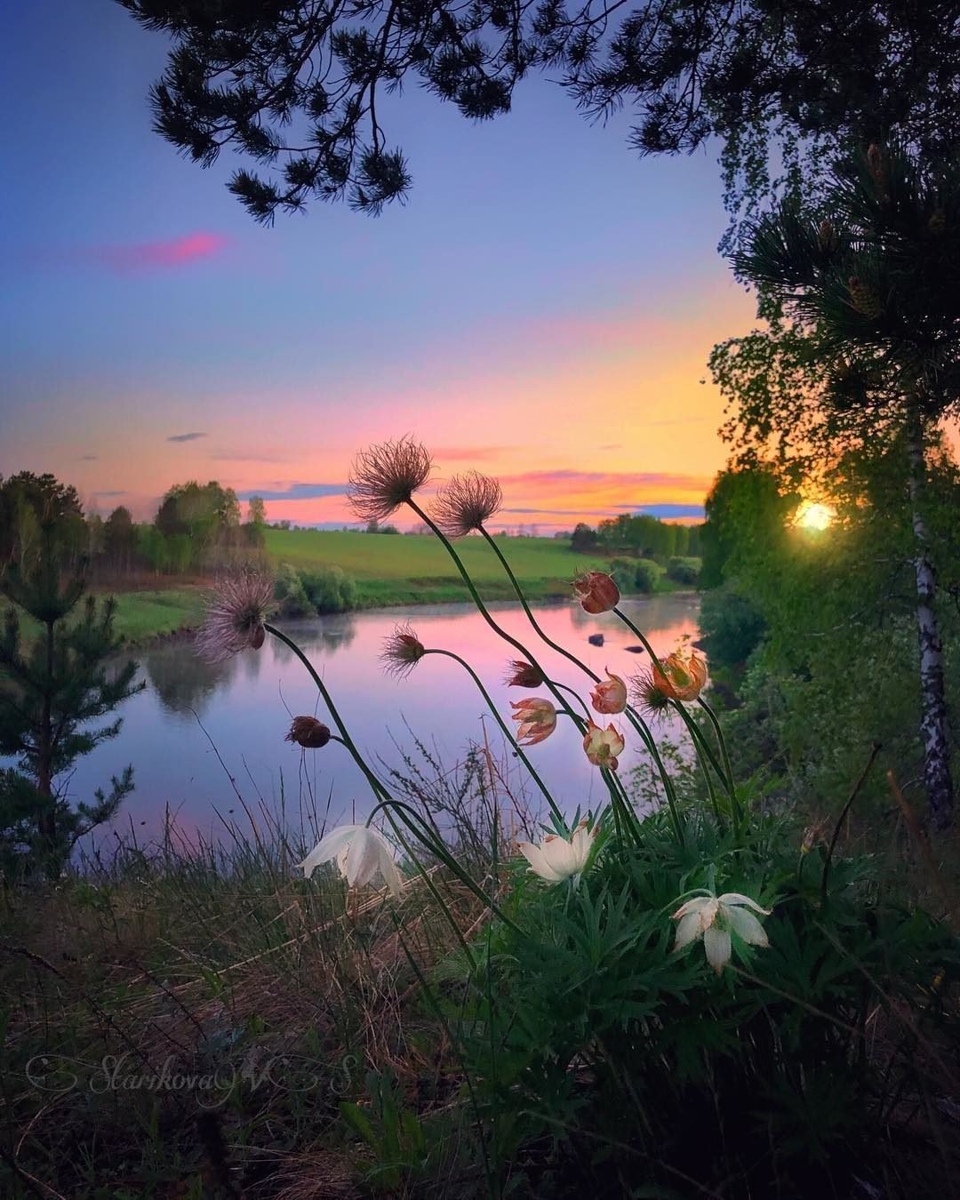 Весенний рассвет Тургенев