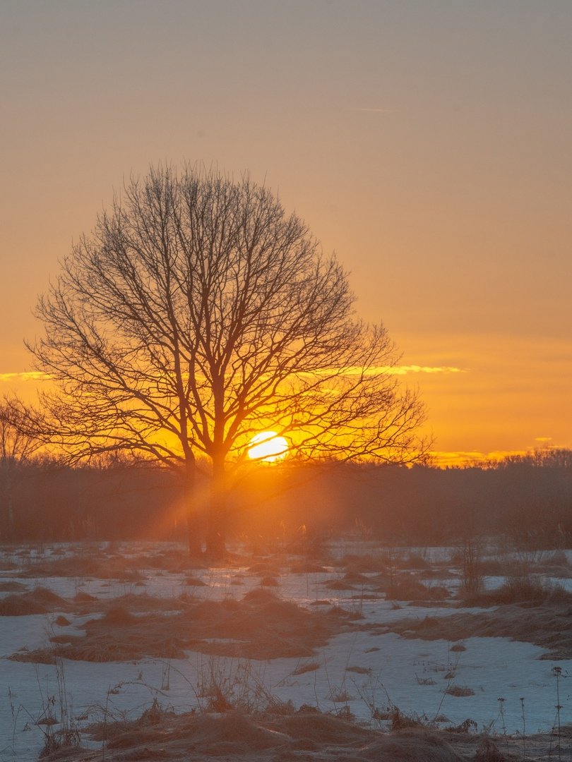 Заря Заря Заря алая Заря