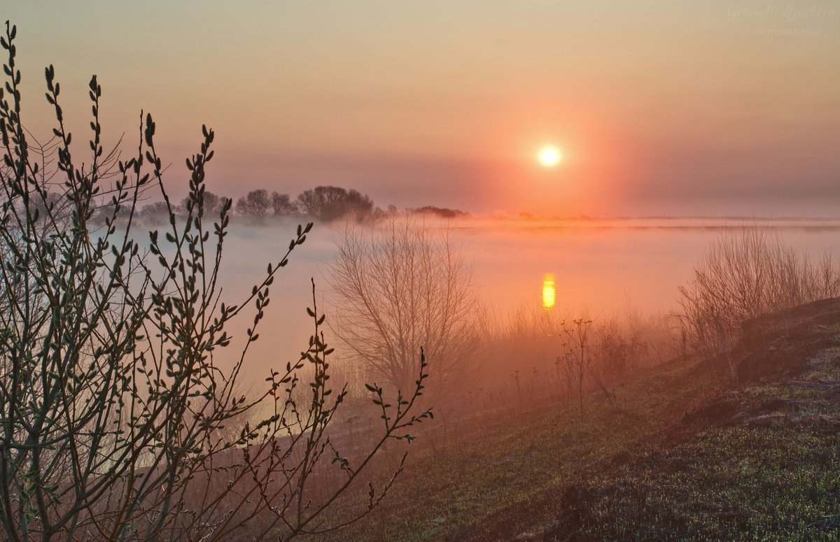 Девушка на природе