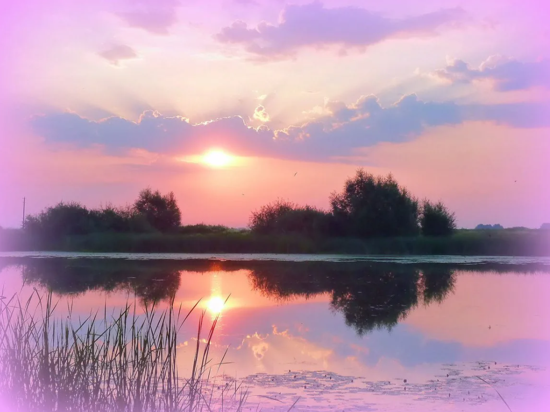 Весна Корея Эстетика