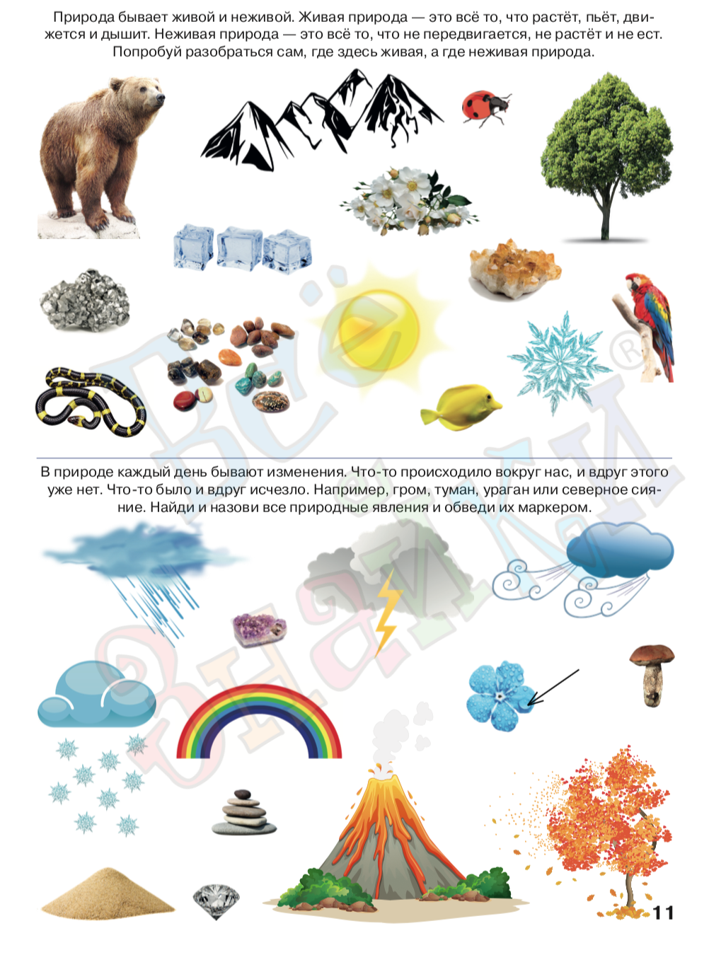 Тетрадь Юлии Фишер логика и познание 5-6 лет