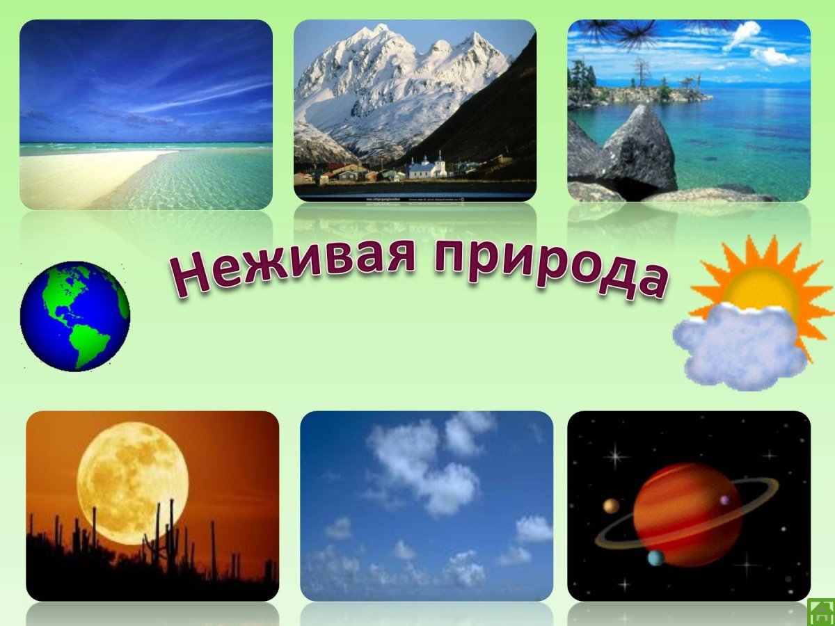 Живая и неживая приролд