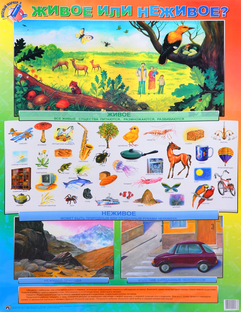 Игра обучающая Десятое королевство учись играя "Живая природа"