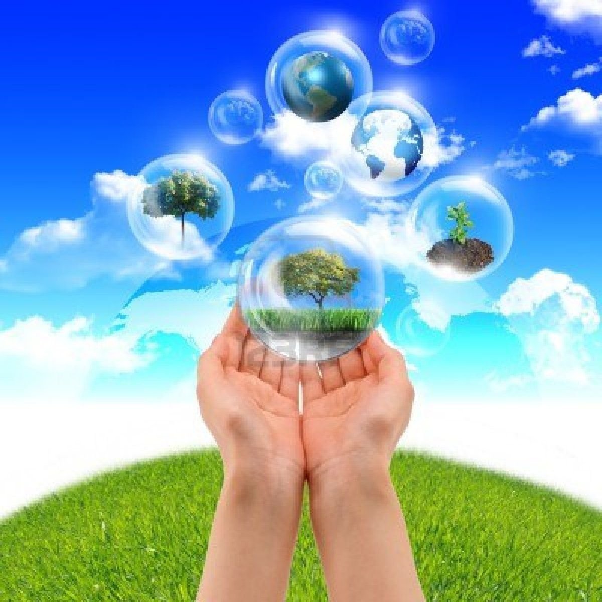 Чистый воздух здоровая жизнь