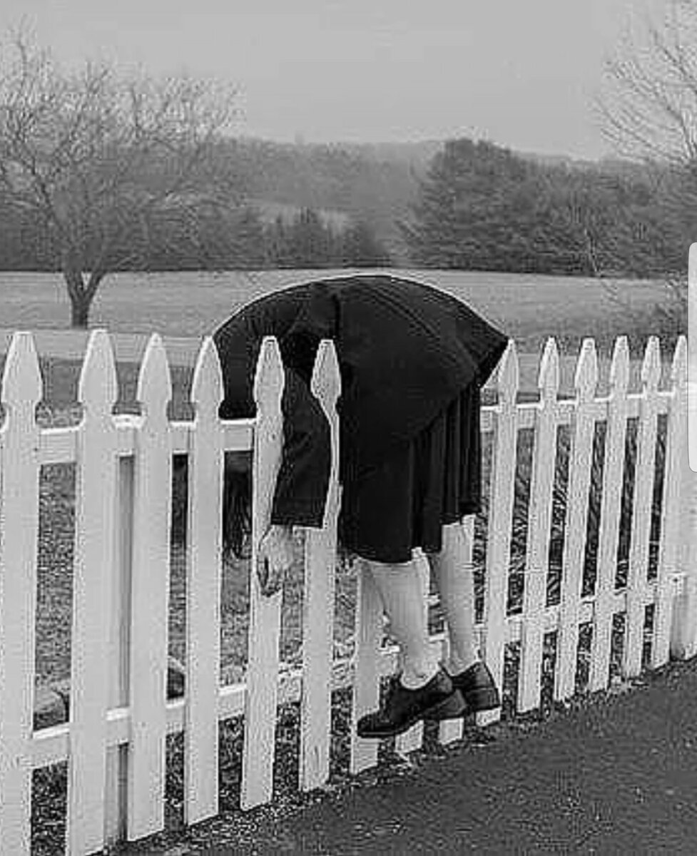 Опять проснулась не в Париже