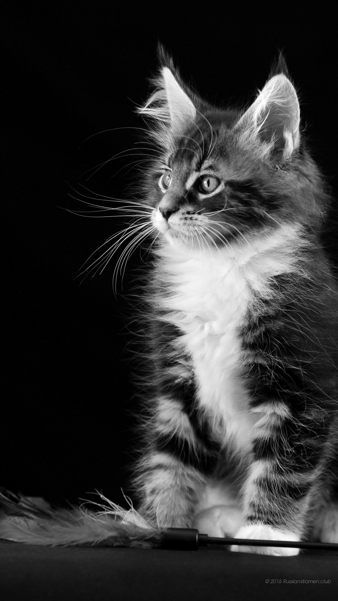 Абстракция в темных тонах