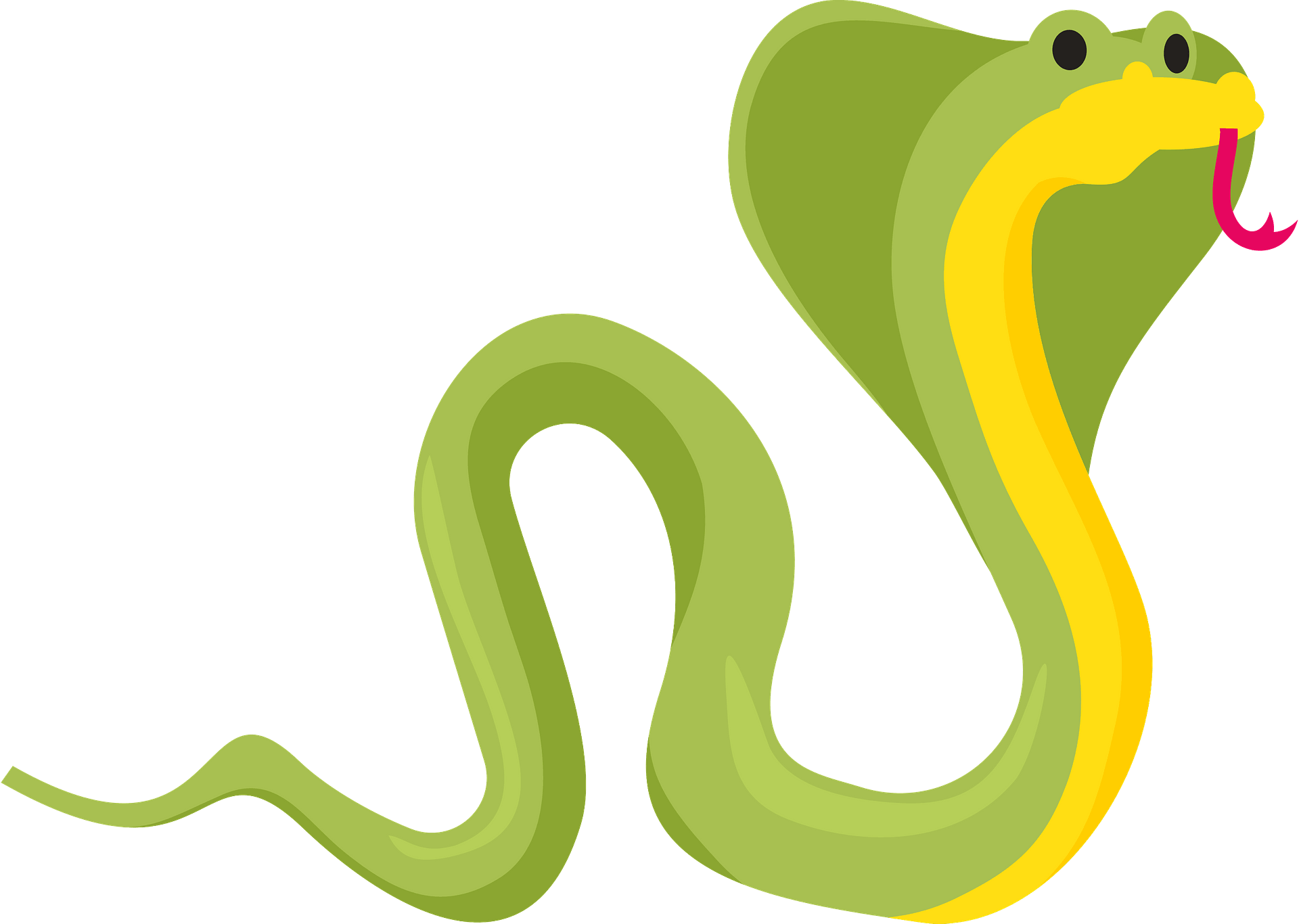Змея мультяшная. Змея вектор. Змея картинка для детей на прозрачном фоне. Змея на белом фоне. Английские слова змея