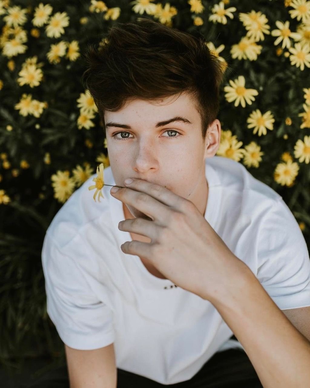 Дилан Джордан Эстетика