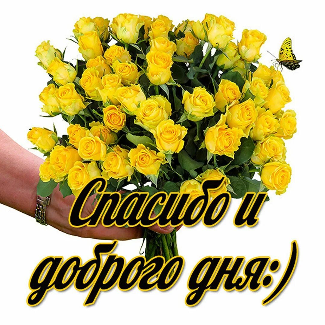 Спасибо подружка