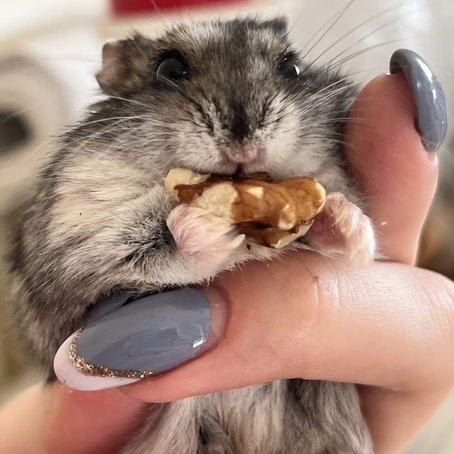 Открытки с надписью хорошего дня