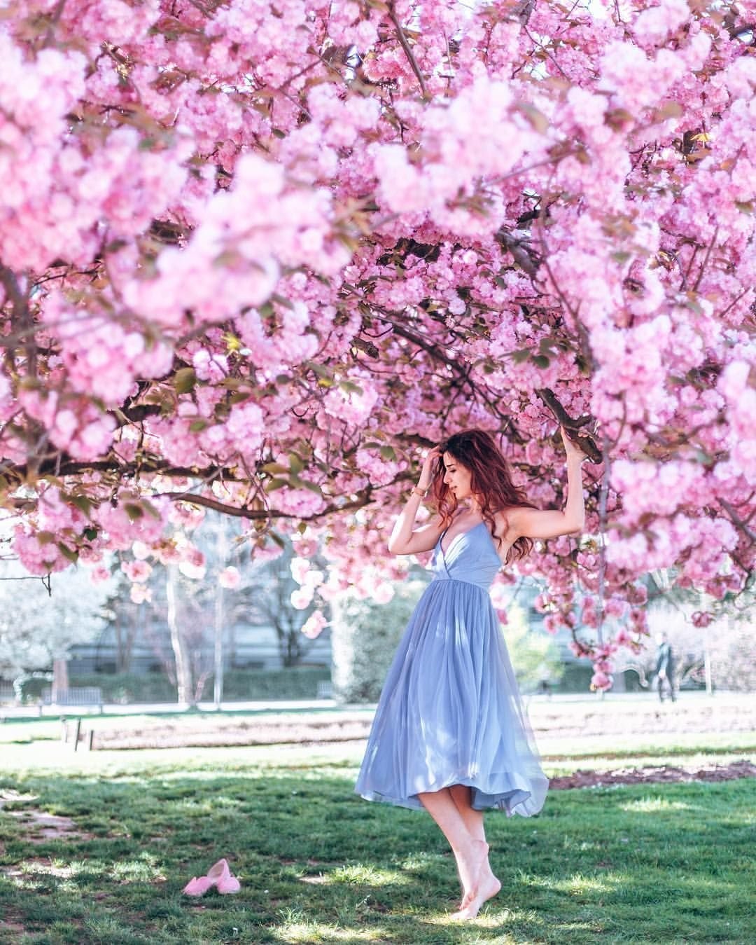 Фотосессия цветущие деревья