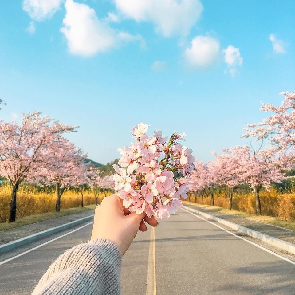 Весна Эстетика