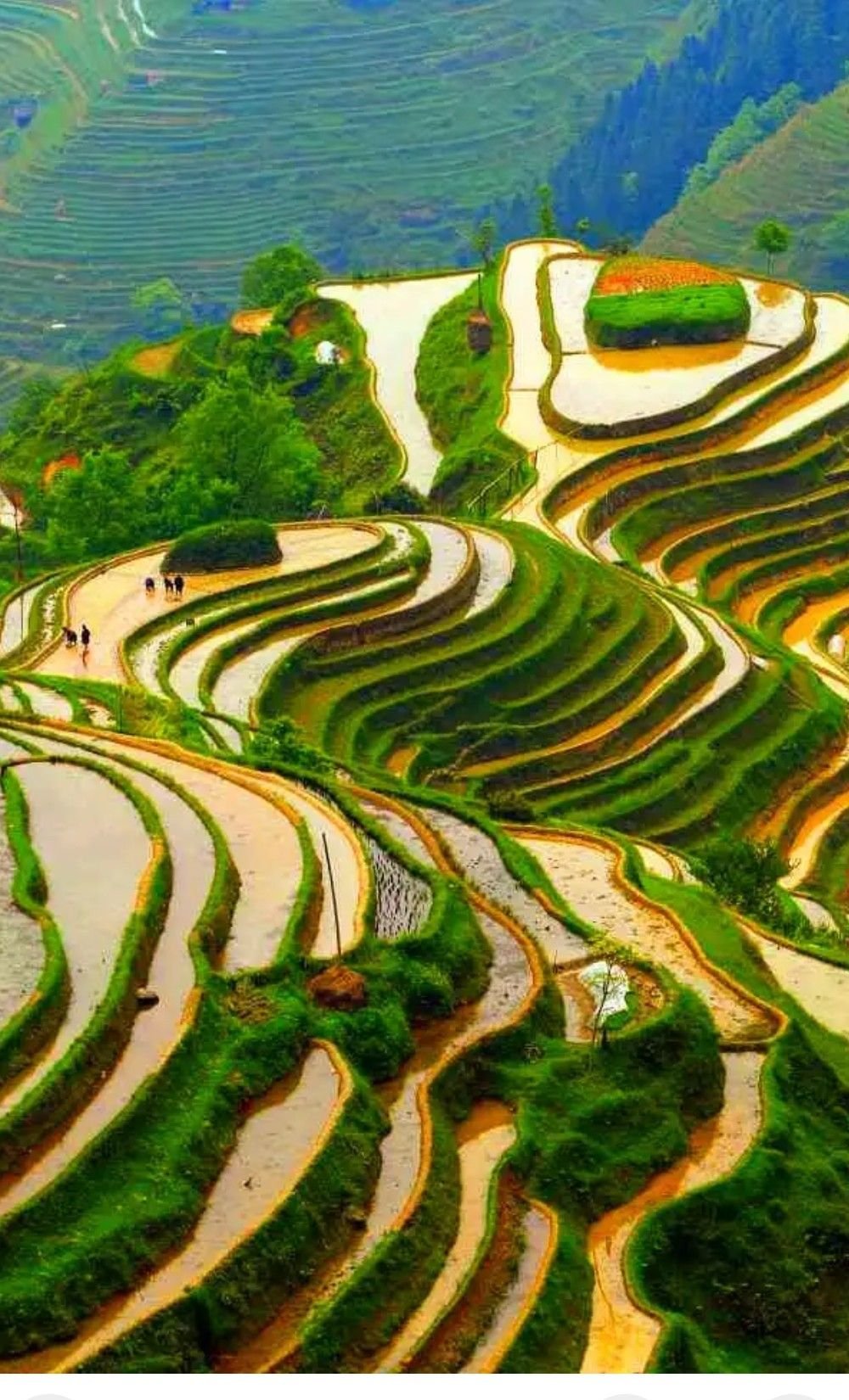 Провинция Гуйчжоу