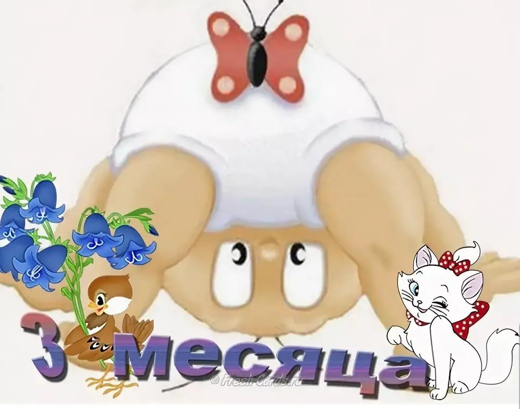 Поздравление с 6 месяцами