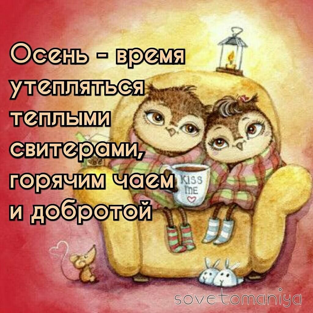 Совушки пара