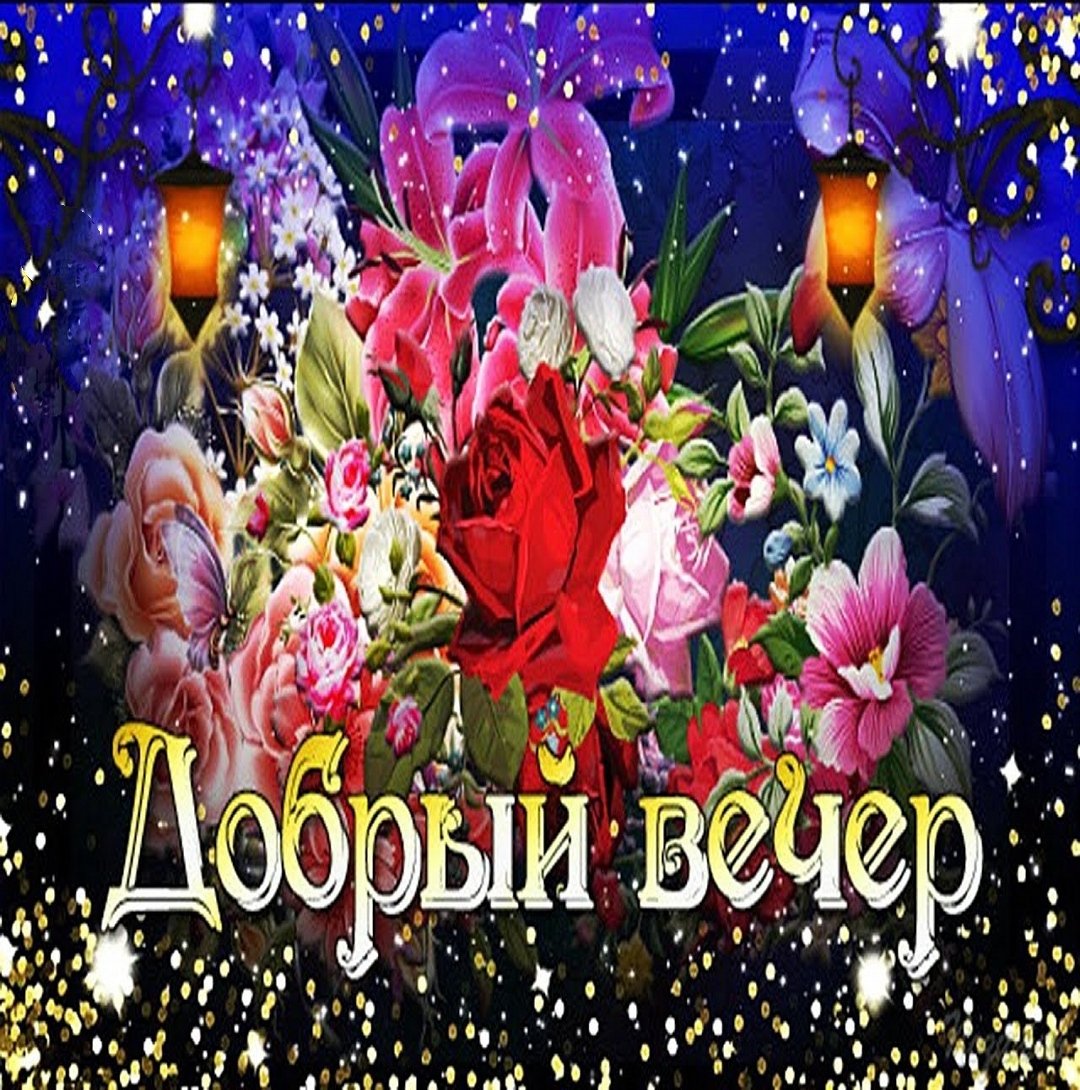 Спокойной ночи с гусем