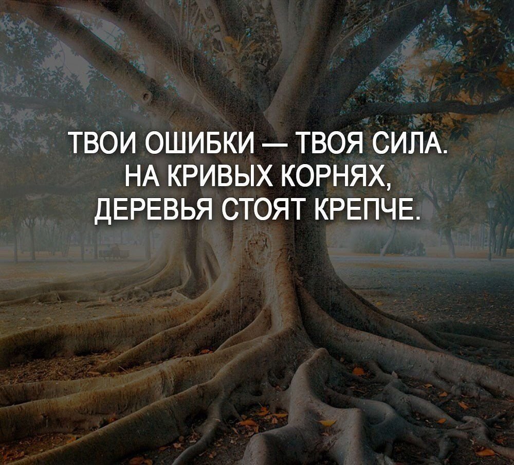 Цитаты про жизнь