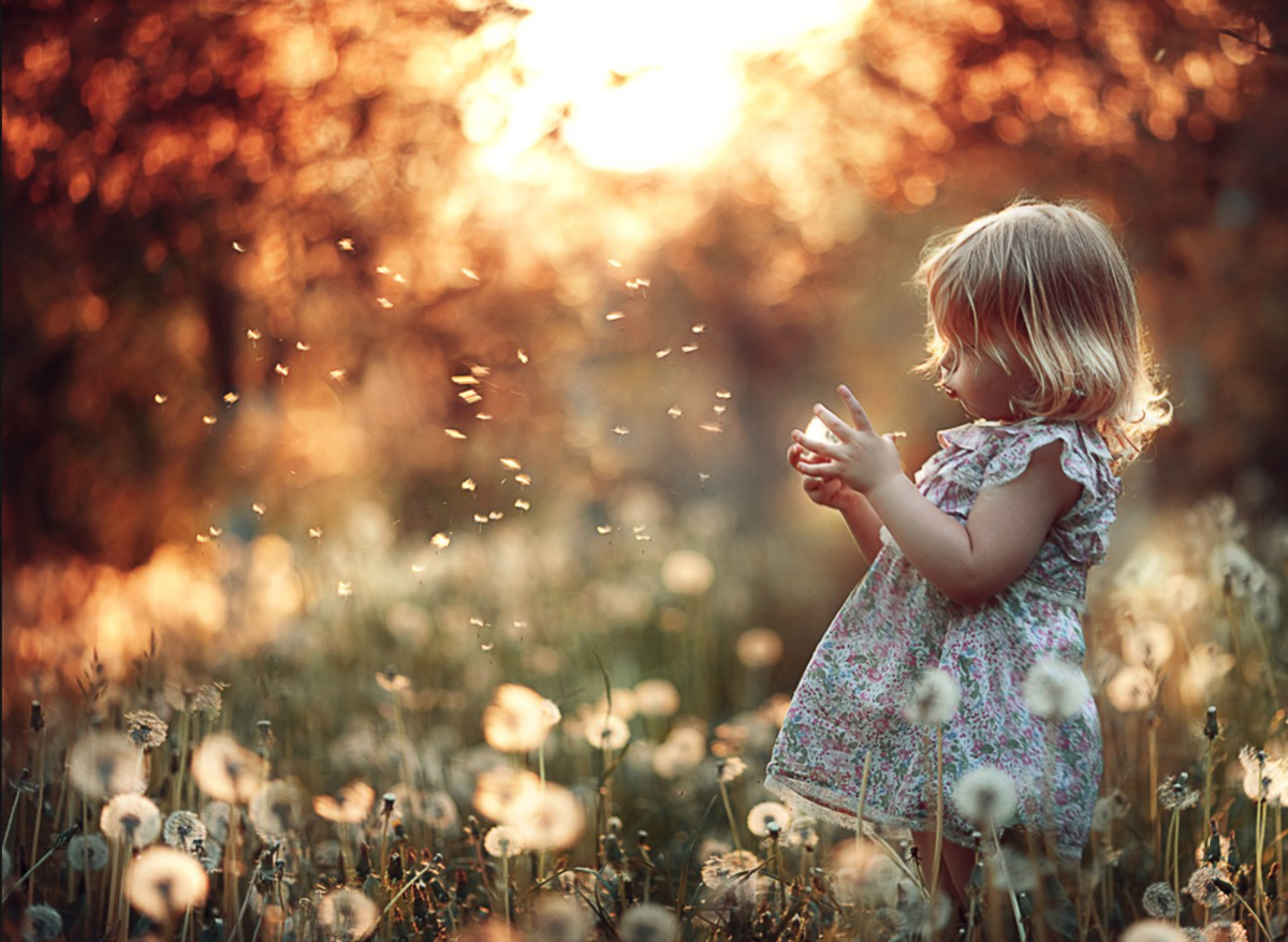 Елена Карнеева