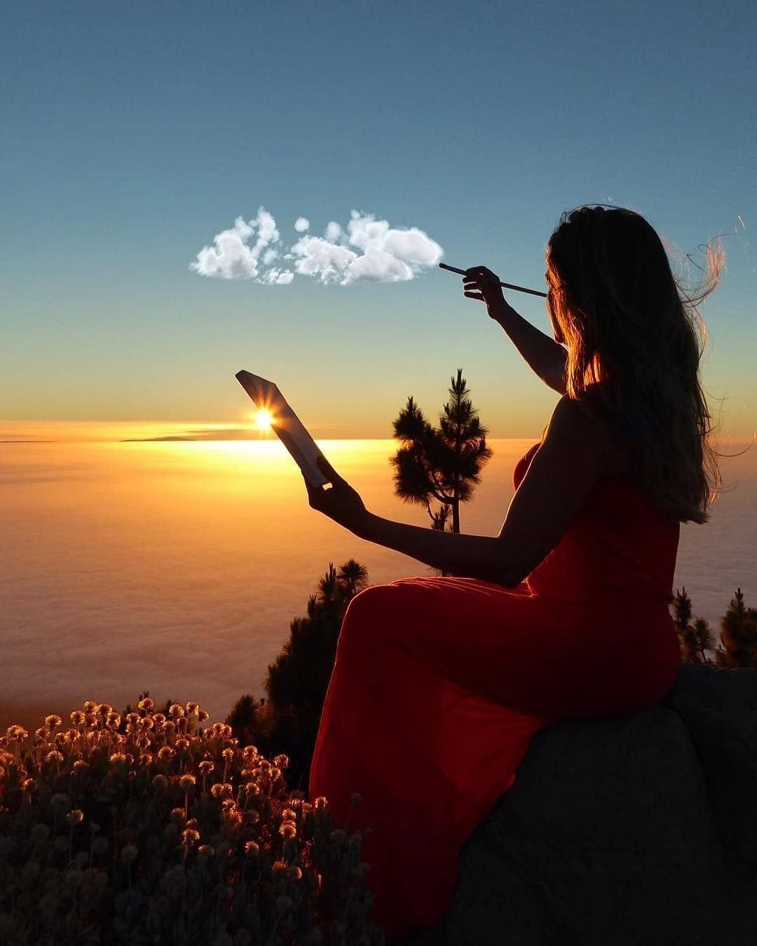 Красота жизни