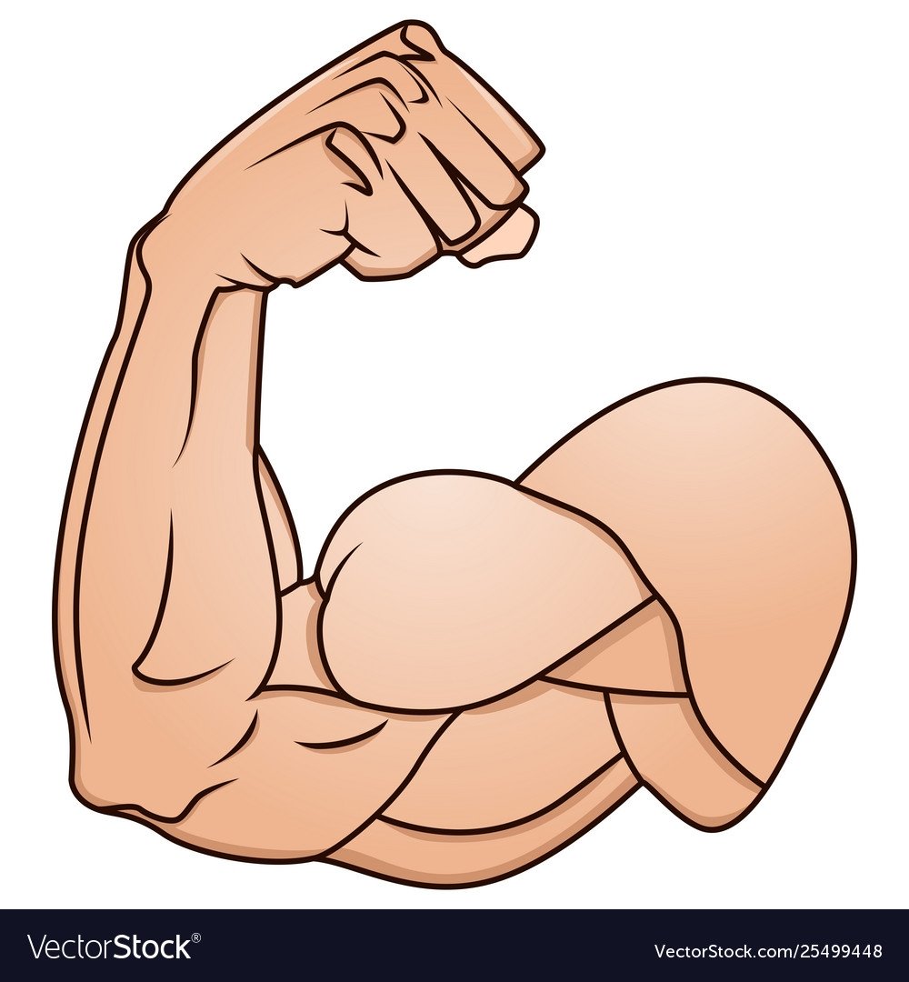 Бицепс рисунок в круге