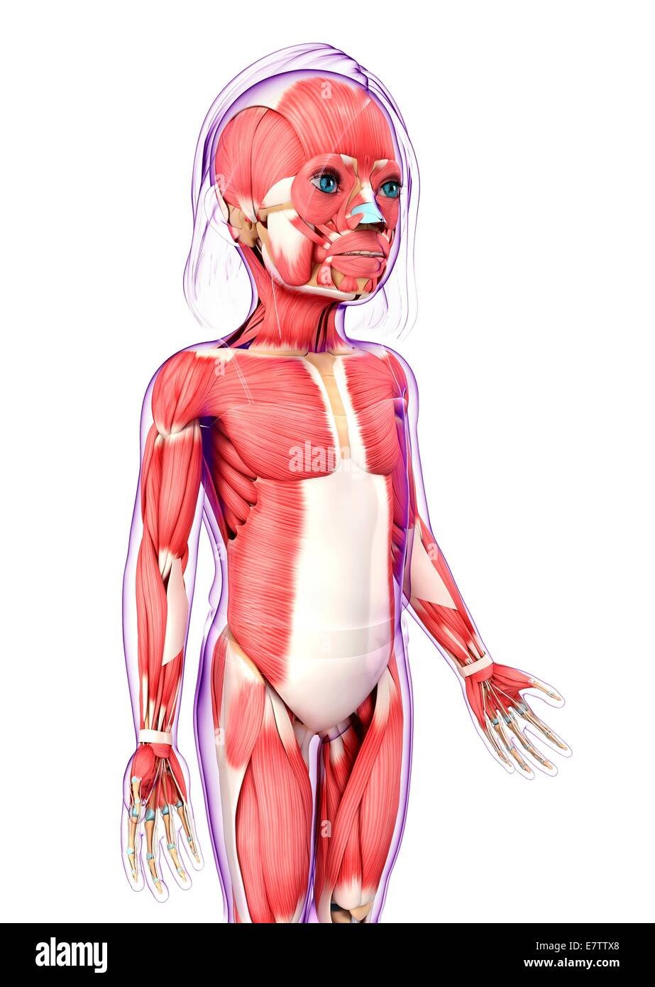 Костно-мышечная система у детей