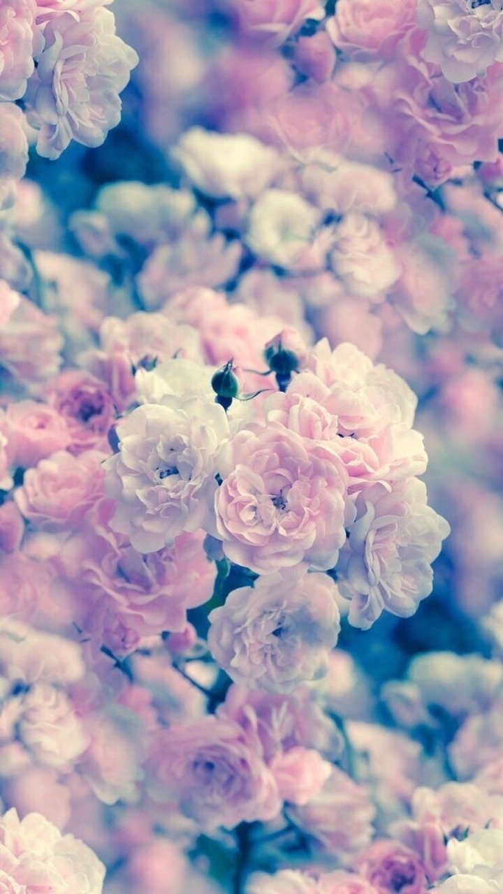 Красивые картинки на айфон