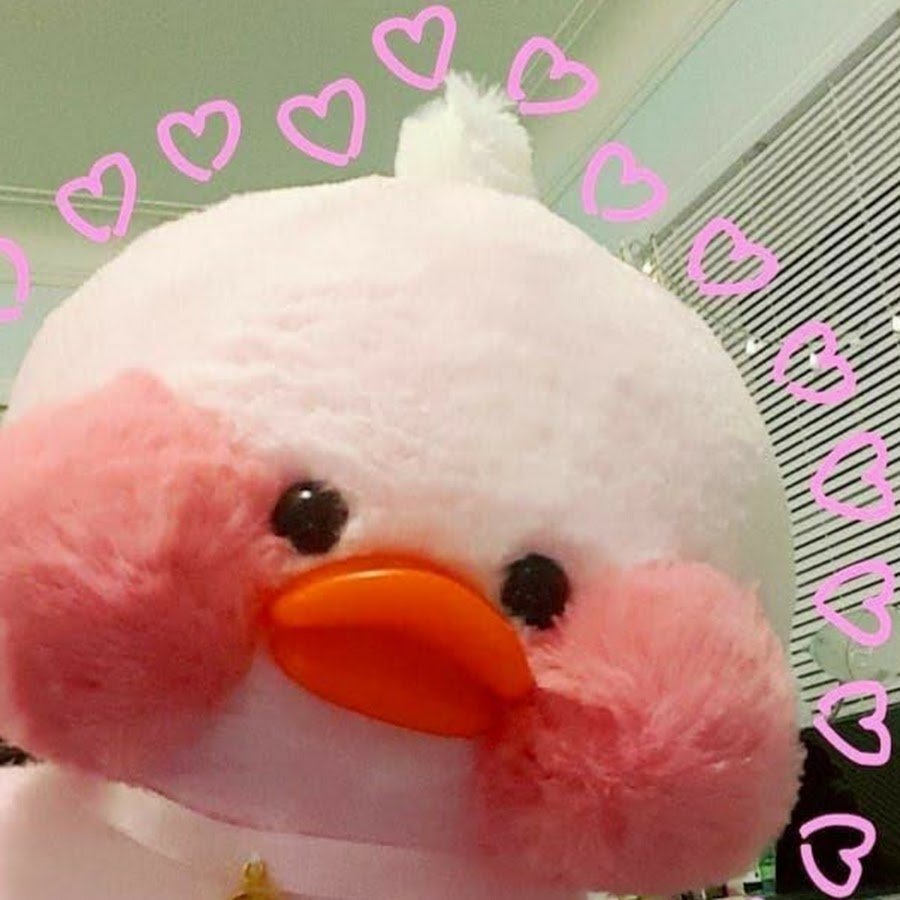 Уточка с розовыми щечками