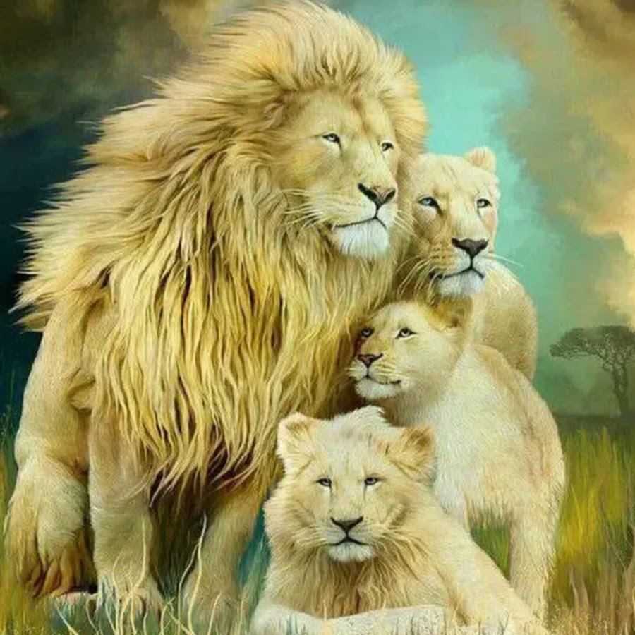 Семья Львов суперпанорама