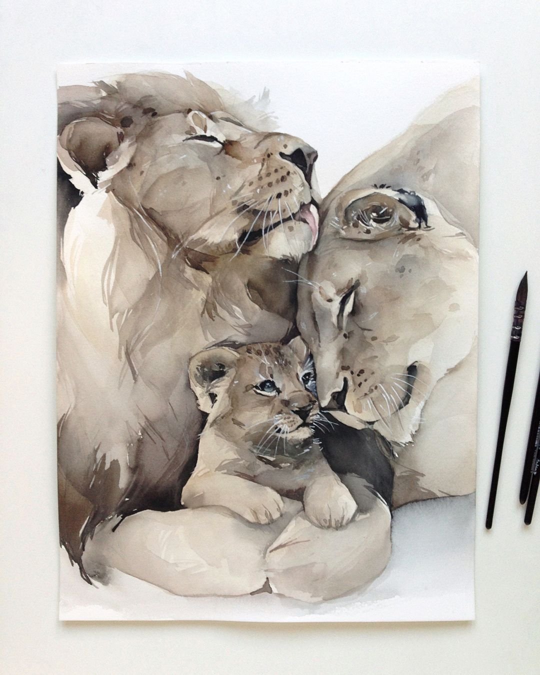 Наталья Каданцева акварель животные