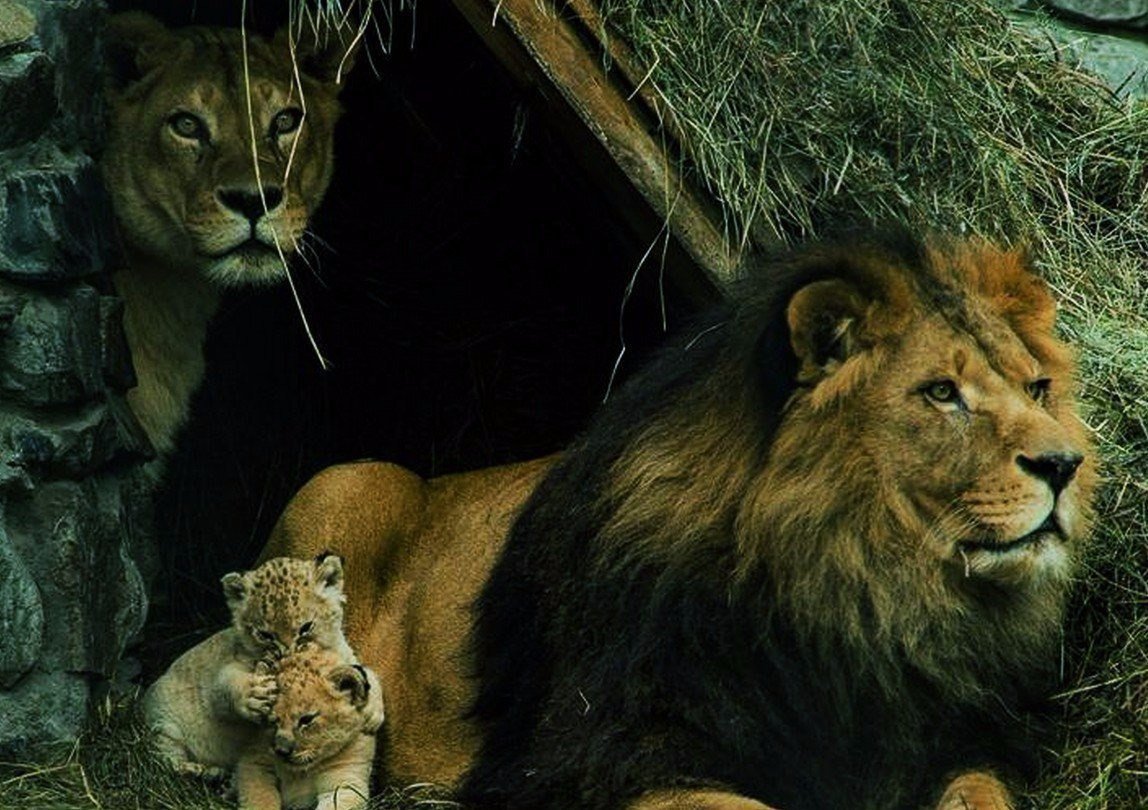 Великий тот чье сердце верное