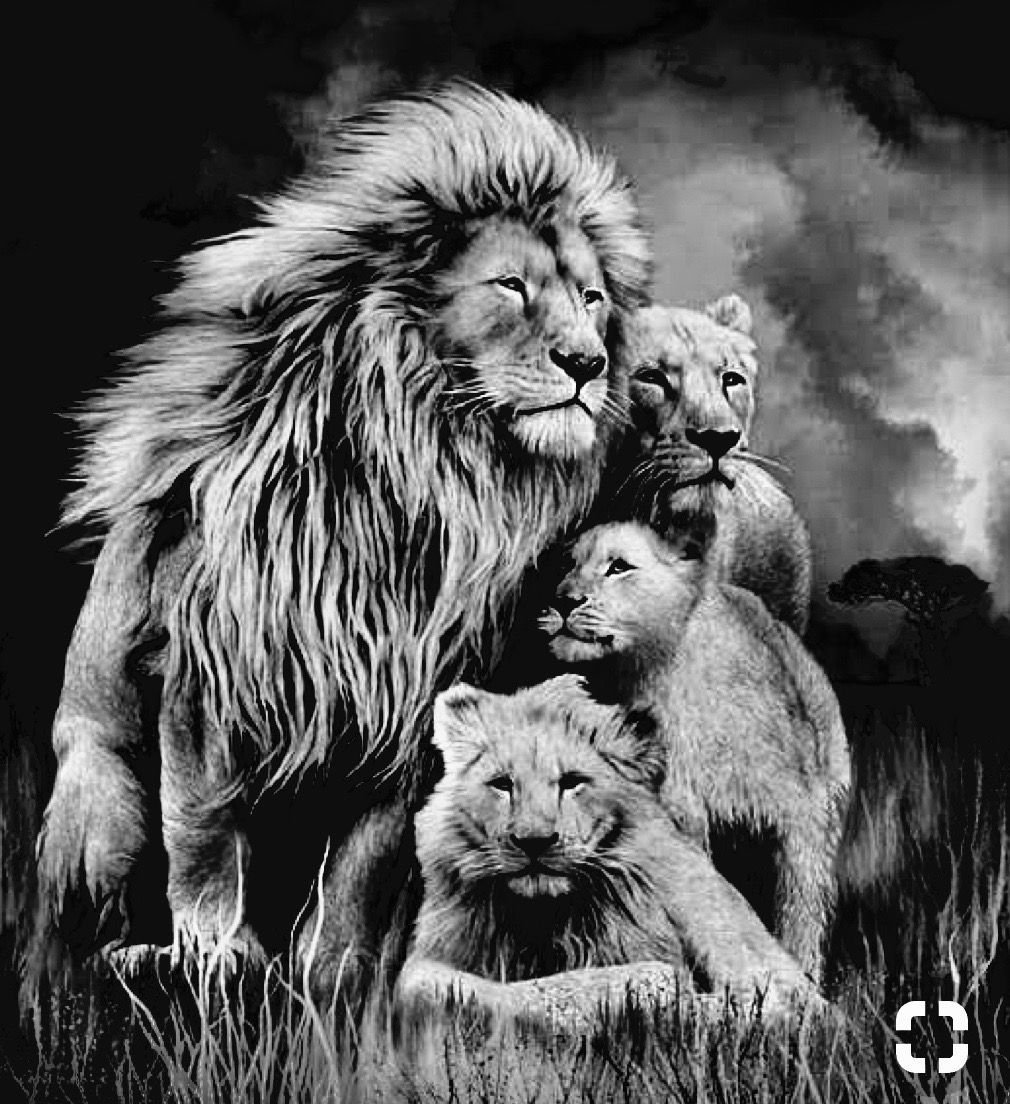 Львиная семья