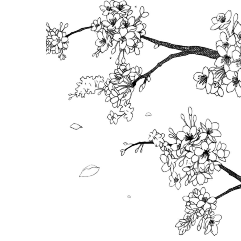 Манга Сакура дерево