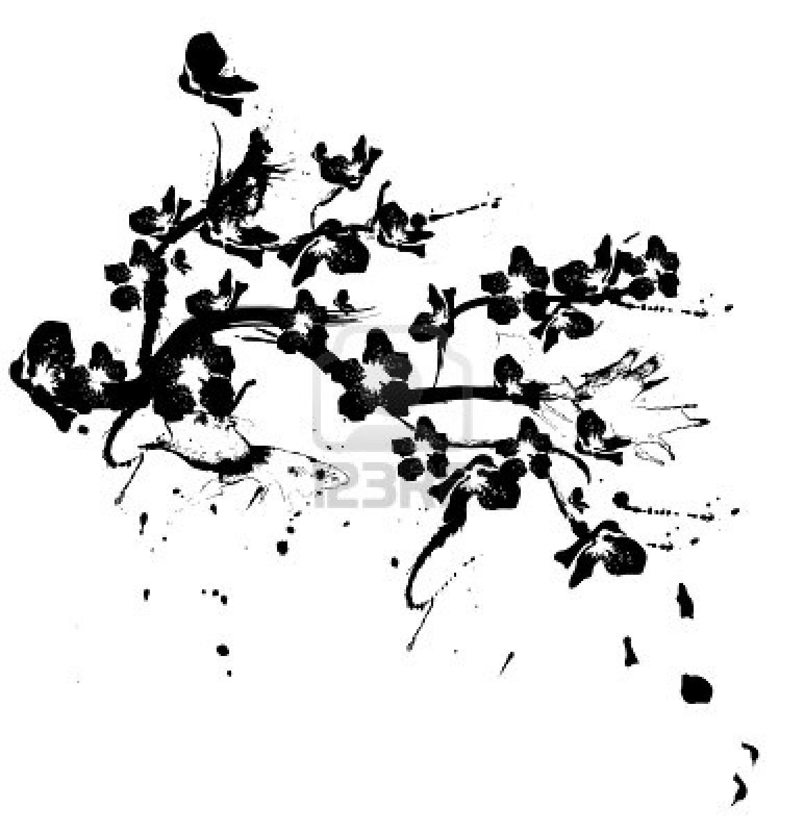 Сакура на белом фоне черно белая