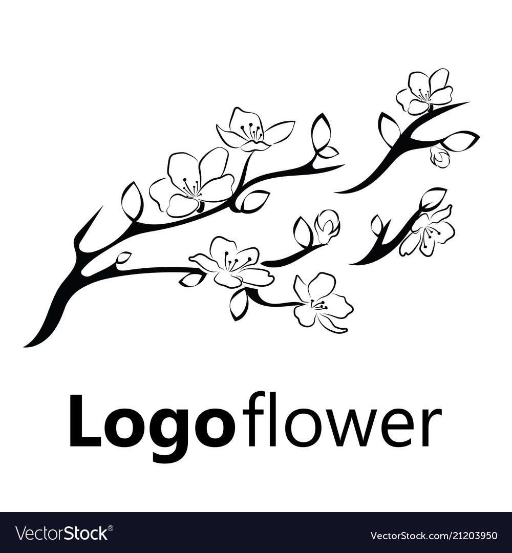 Веточка Сакуры черно белая