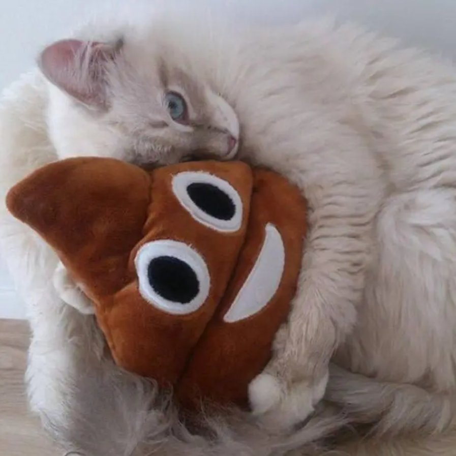 Картинка для любимой девушки для поднятия настроения