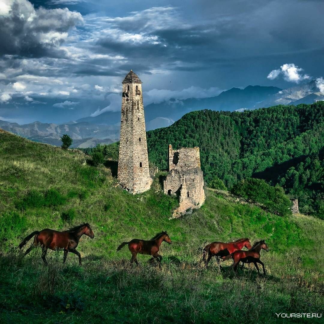 Тимур Агиров Горная Ингушетия