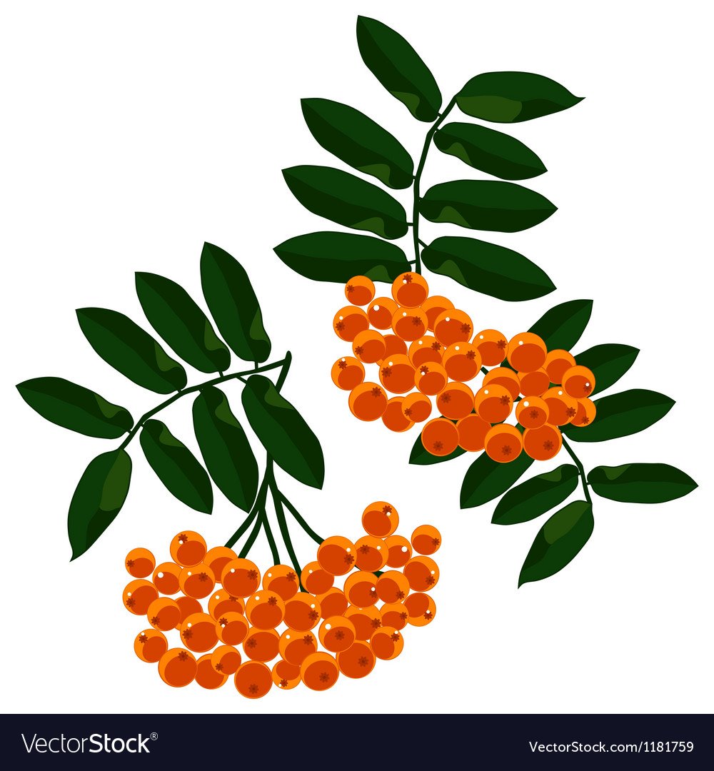 Рамки для группы Рябинка