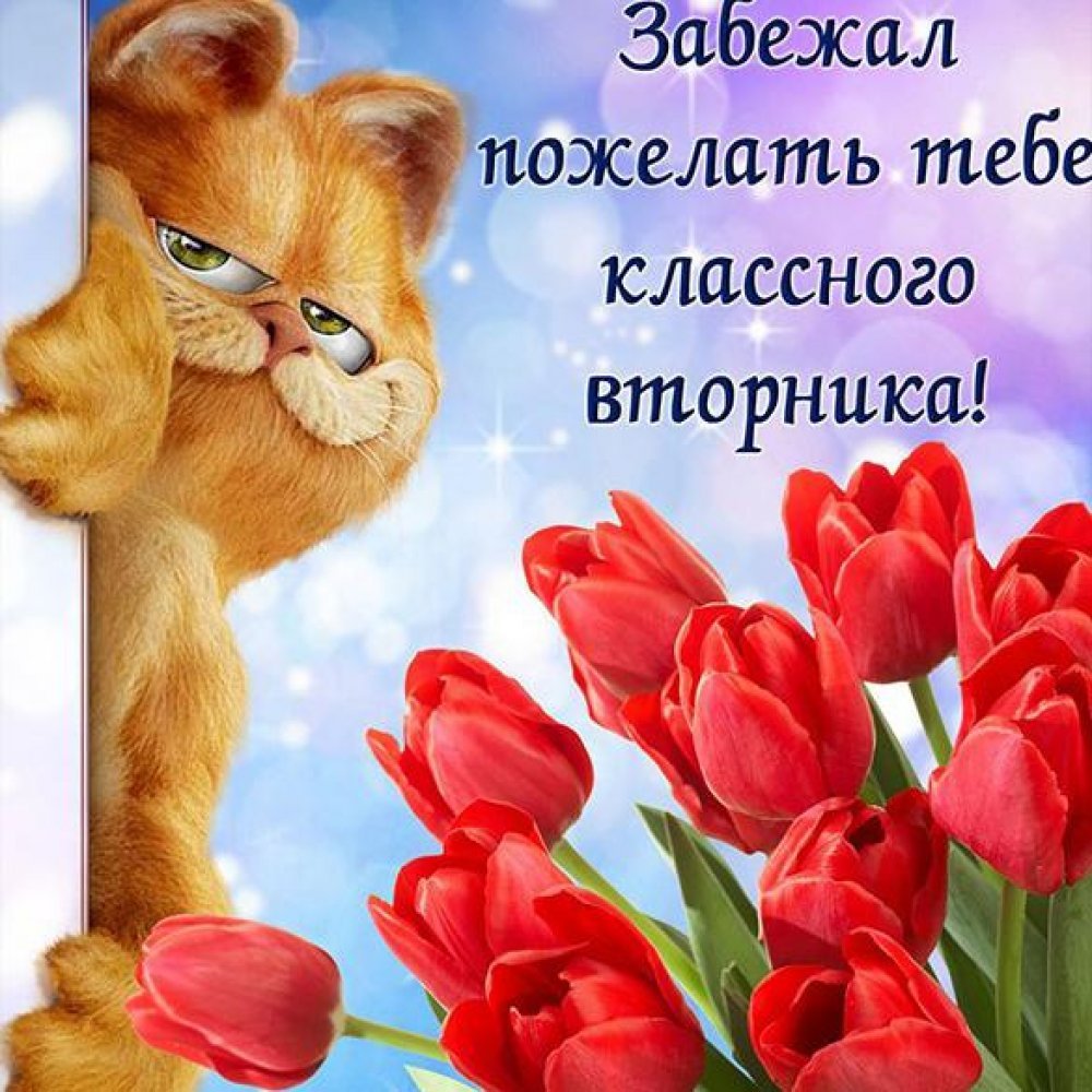 Поздравление с вторником в картинках