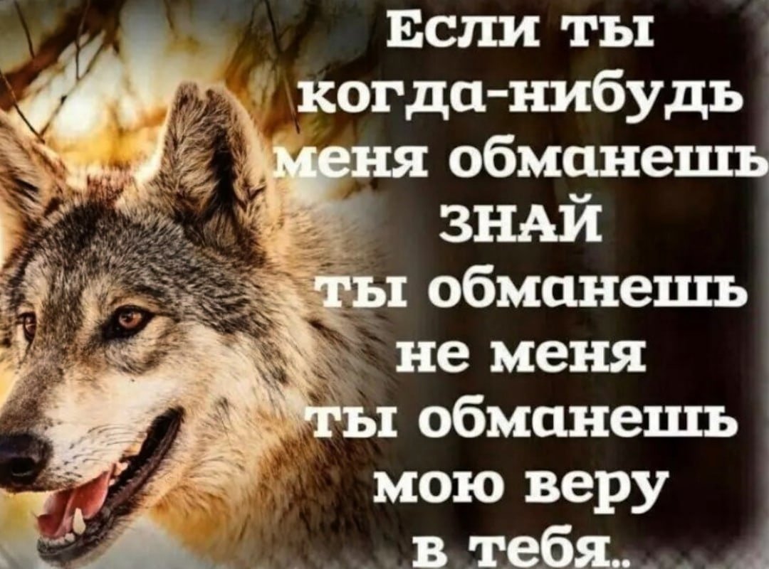 Стихи о лжи и обмане любимого человека