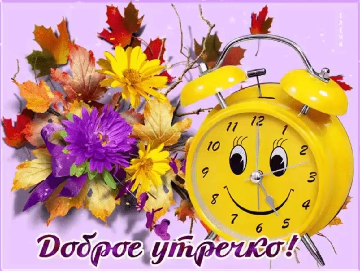 Здравствуйте доброе утро