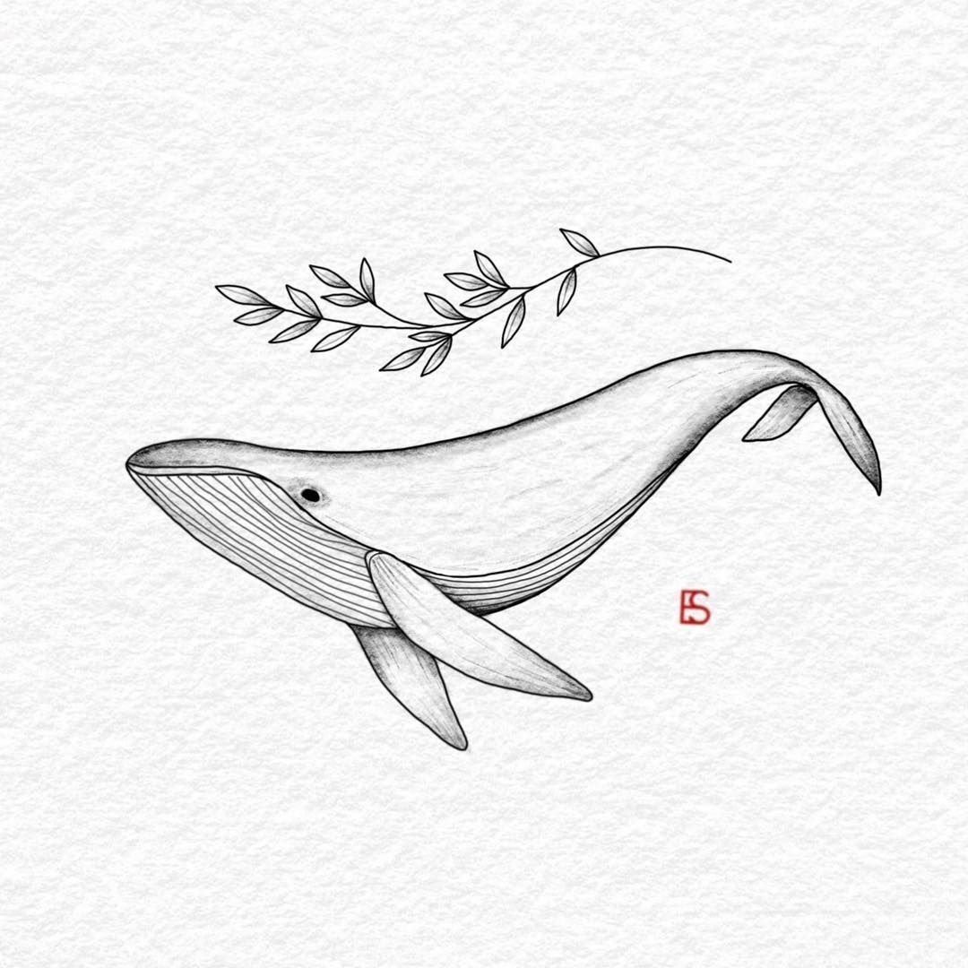 Нарисовать кита