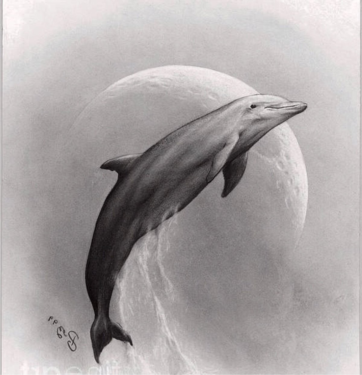 Дельфины карандашом