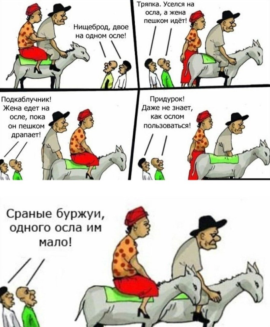 Осел и Общественное мнение