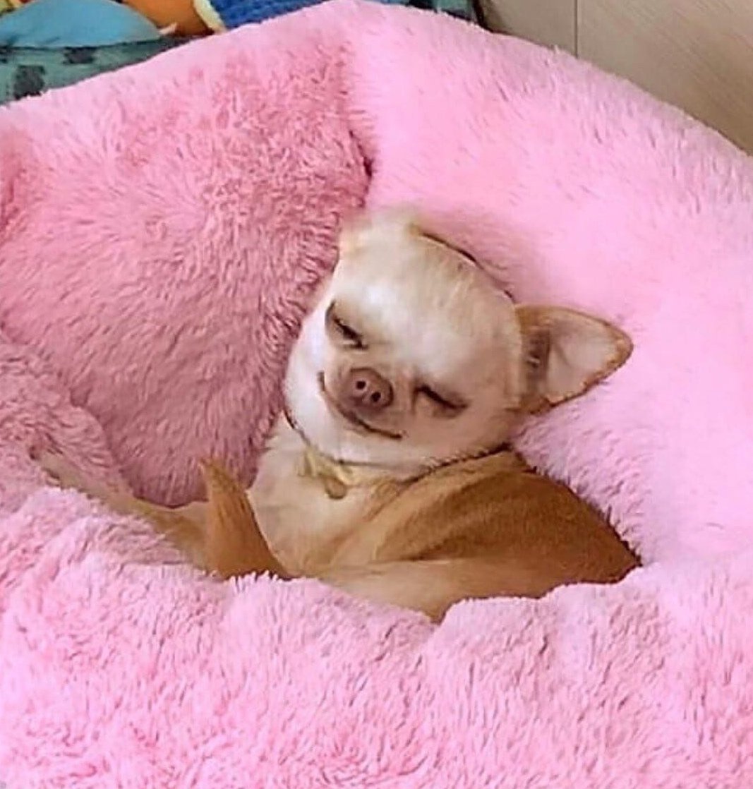 Спокойно ложусь и сплю